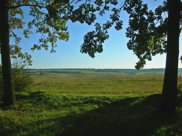 Fields and forest near Letichiv